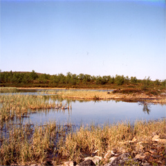 Kirsten K&ouml;tter, Painting Site-specific: 69° N / 27° O (Serie: NordNordOst), Berg hinter Utsjoki, Finnland, 29.06.2003, ca. 10.30 - 12.30, Aquarell, 30 &times; 40 cm, Foto, Text (15/36)