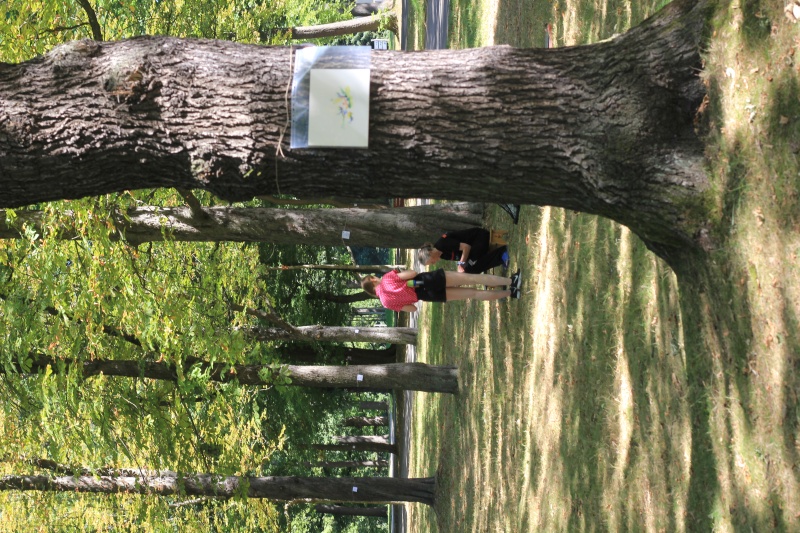 2025-08-19_malathon-chemnitz_04-baum_journalistin-mdr_2797 (Kirsten Kötter)