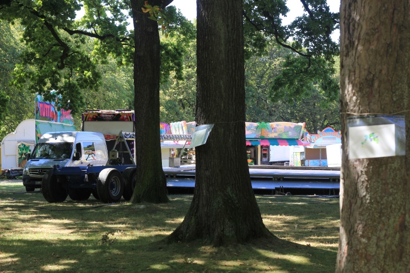 2025-08-19_malathon-chemnitz_licht_2809 (Kirsten Kötter)