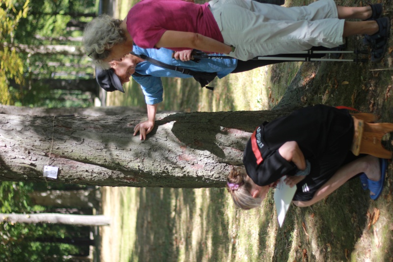 2025-08-19_malathon-chemnitz_06_frau-mit-mutter-schullandheim_2801 (Kirsten Kötter)