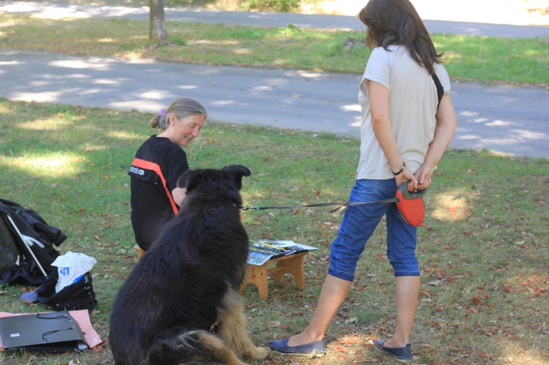 2025-08-19_malathon-chemnitz_10_hund-frau_2835 (Kirsten Kötter)