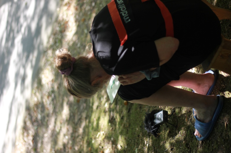 2025-08-20_malathon-chemnitz_26_malen_2905, watercolour, 12 × 17 cm (Kirsten Kötter)