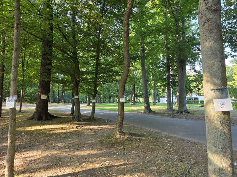 2025-08-20_malathon-chemnitz_27_28_ua_baum_20250820_181721, watercolour, 12 × 17 cm (Kirsten Kötter)