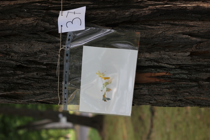 2025-08-21_malathon-chemnitz_37_baum_2950, watercolour, 17 × 24 cm (Kirsten Kötter)