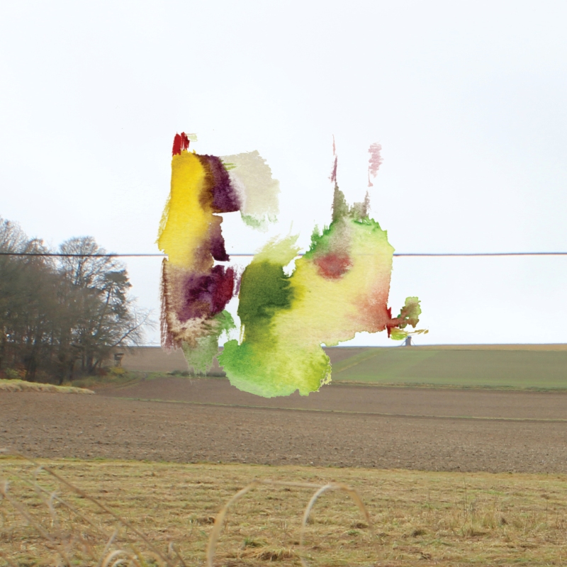2021-11-17_fischteich_img-0192_50-50, digital montage, 50 × 50 cm (Kirsten Kötter)