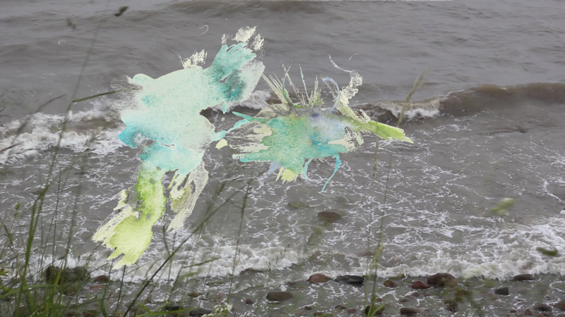 2024-06-03_meer-steilkueste-schwalben_2, video still (Kirsten Kötter)