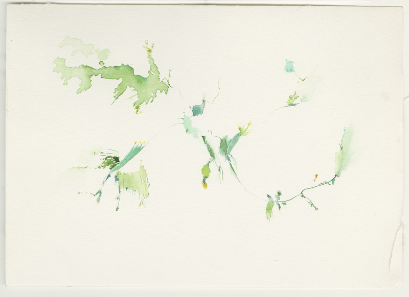 2003_baeume-rasen_park, watercolour, 17 × 24 cm (Kirsten Kötter)